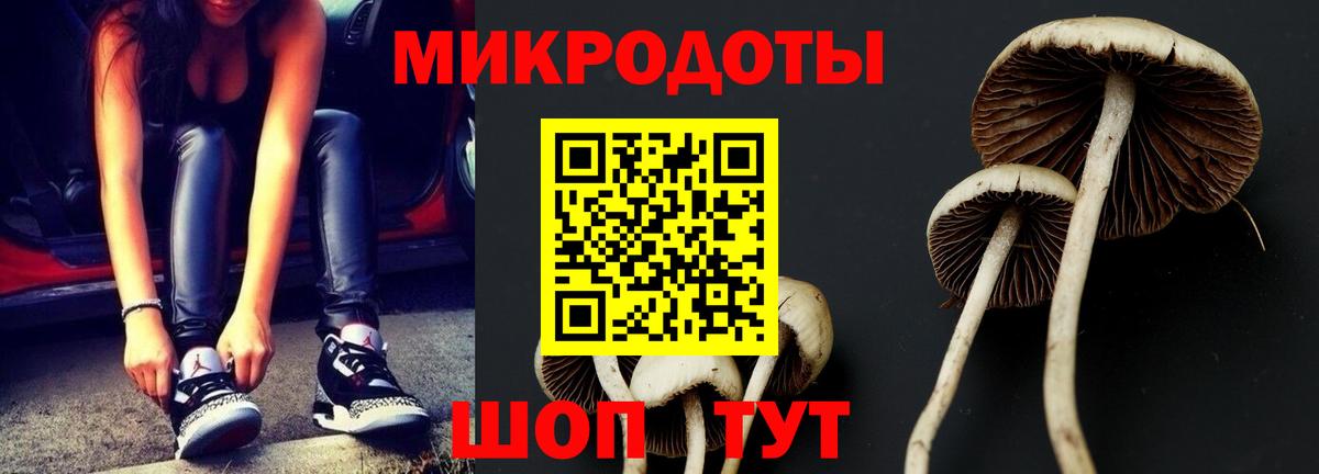 Псилоцибиновые грибы мицелий Чистополь